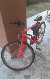 Mountain Bike Trubbiani