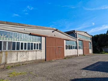 Vendita Capannone Industriale e terreno