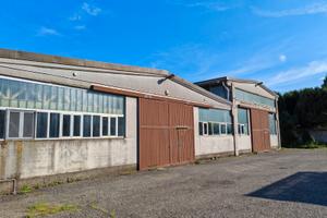 Vendita Capannone Industriale e terreno