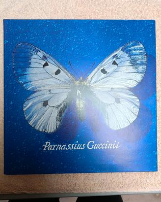 Guccini.   Parnassius Guccinii 1993