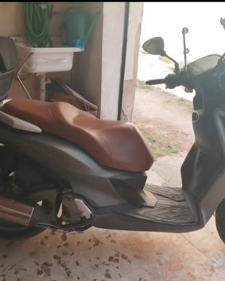 Malaguti Password 250