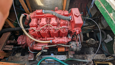 Barca fa pesca con licenza di pesca GT 3