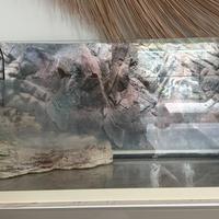 Tartarughiera in vetro