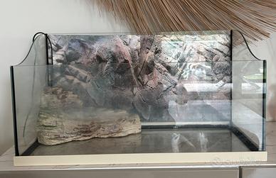 Tartarughiera in vetro