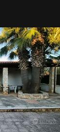 Villa indipendente