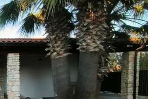 Villa indipendente