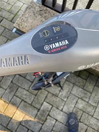 Yamaha M12 fuoribordo