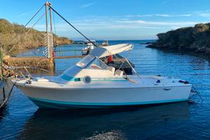 Riva Bertram Bahia mar 20