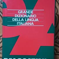 dizionario  italiano