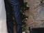 Immagine 6