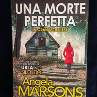 UNA MORTE PERFETTA