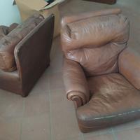 coppia due poltrona FRAU Dream