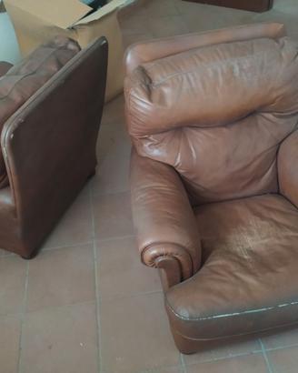 coppia due poltrona FRAU Dream
