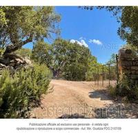 Terreno Agricolo Luras [A4325591]