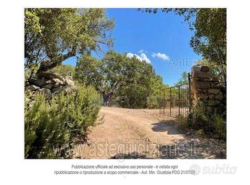 Terreno Agricolo Luras [A4325591]