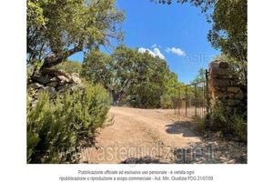 Terreno Agricolo Luras [A4325591]