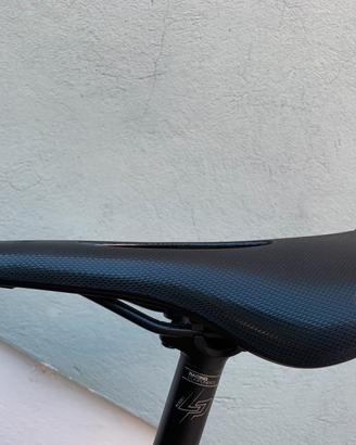 Sella Brooks c15 cambium carved