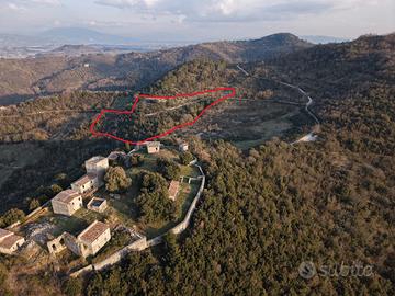 Terreno agricolo panoramico con pozzo e trattore