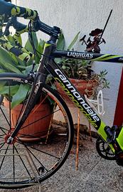 Bici da corsa Cannondale carbonio TG 55 /56 