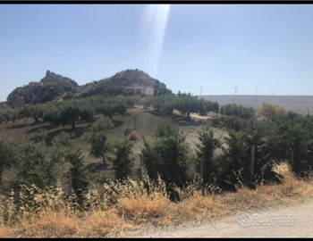 Contattare solo al numero di telefono 3888919981