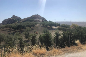 Contattare solo al numero di telefono 3888919981