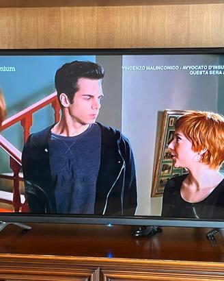 TV UNITED