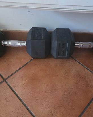 Dumbell 20 kg