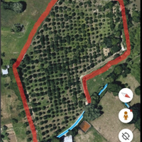 Terreno agricolo con Tartufaia