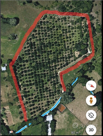 Terreno agricolo con Tartufaia