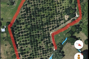 Terreno agricolo con Tartufaia