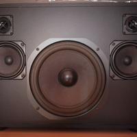 Cassa / Altoparlante Loewe