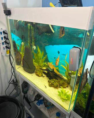 ACQUARIO CIANO 100 LITRI COMPLETO