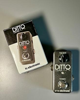 TC Electronic DITTO LOOPER
