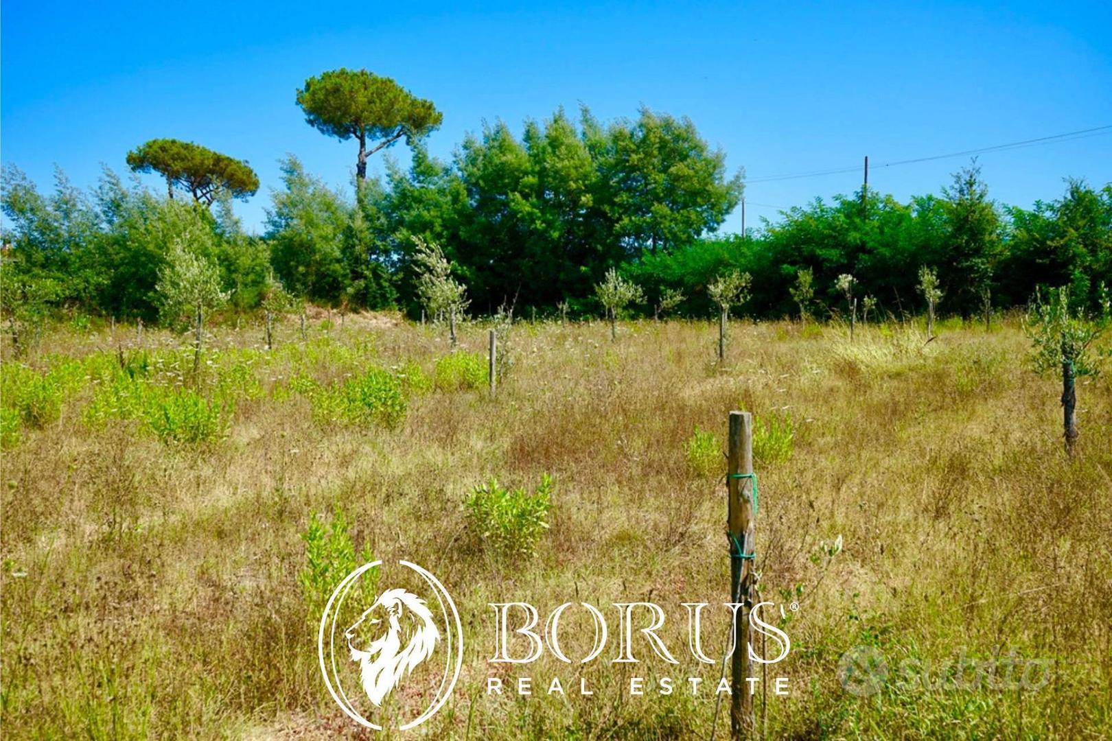 Terreno Agricolo - Sessa Aurunca - Altro