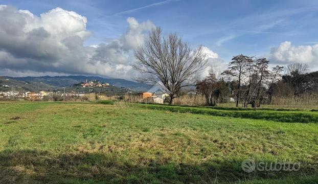 TER. AGRICOLO A BUGGIANO