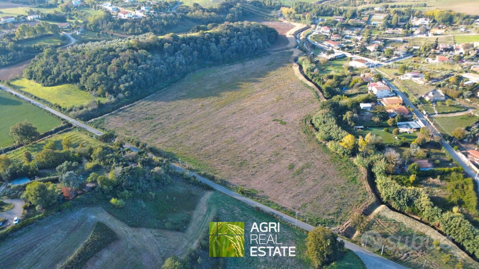 Ardea (RM) - Terreno 4,5 HA con pozzo | TR459 - Vista 2