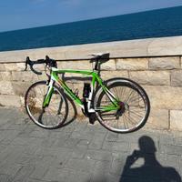 Bici da corsa