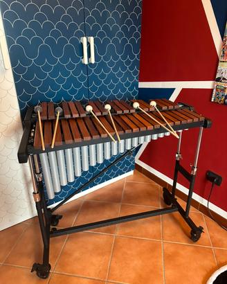 MARIMBA in LEGNO