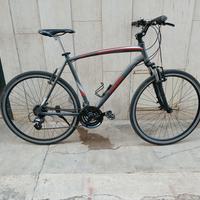 Bici da trekking/city alluminio