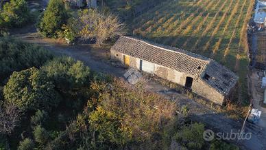 TER. AGRICOLO A PIEDIMONTE ETNEO