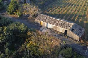 TER. AGRICOLO A PIEDIMONTE ETNEO