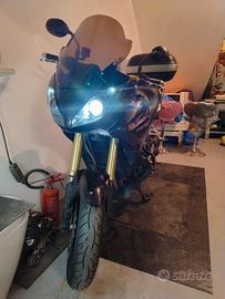 moto Triumph Tiger 1050