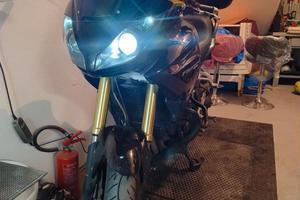 moto Triumph Tiger 1050