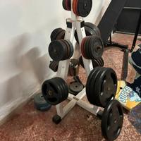 Rastrelliera portadischi Tecnogym