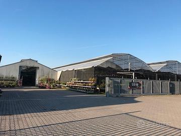 Azienda florovivaistica piante ornamentali