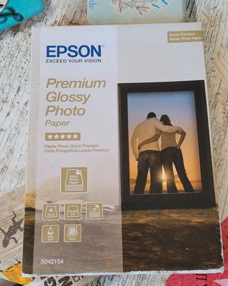 carta stampante Epson Premium Glossy Photo Paper