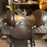 Rella reining brad ren usa