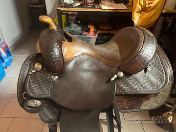 Rella reining brad ren usa