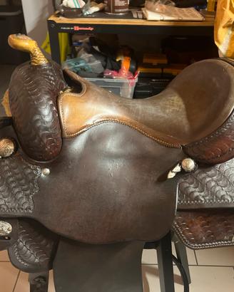 Sella americana western brad ren usa