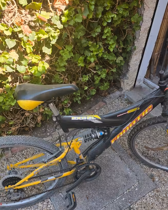 Biciclette